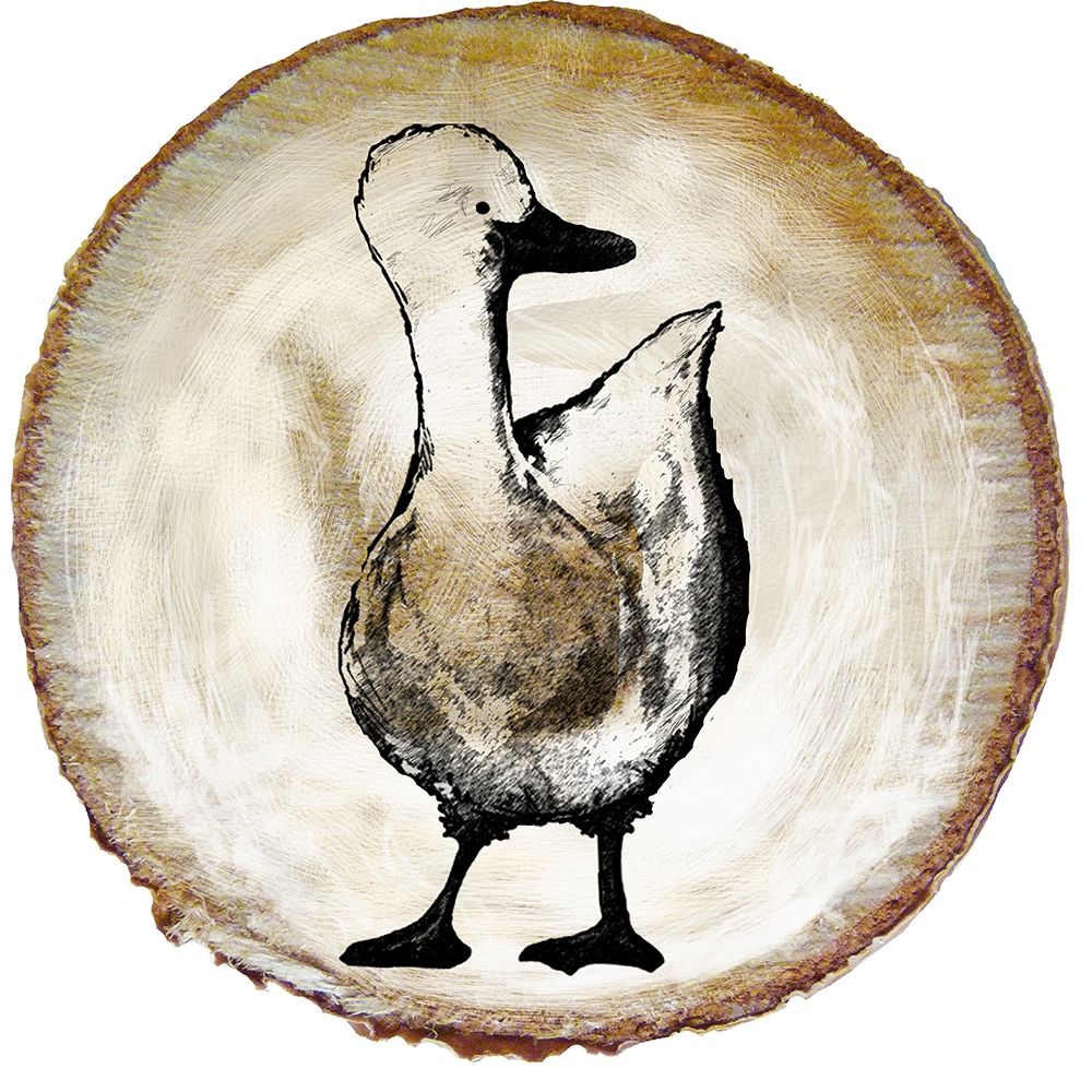 Art Print: Barnyard Coop Circle III