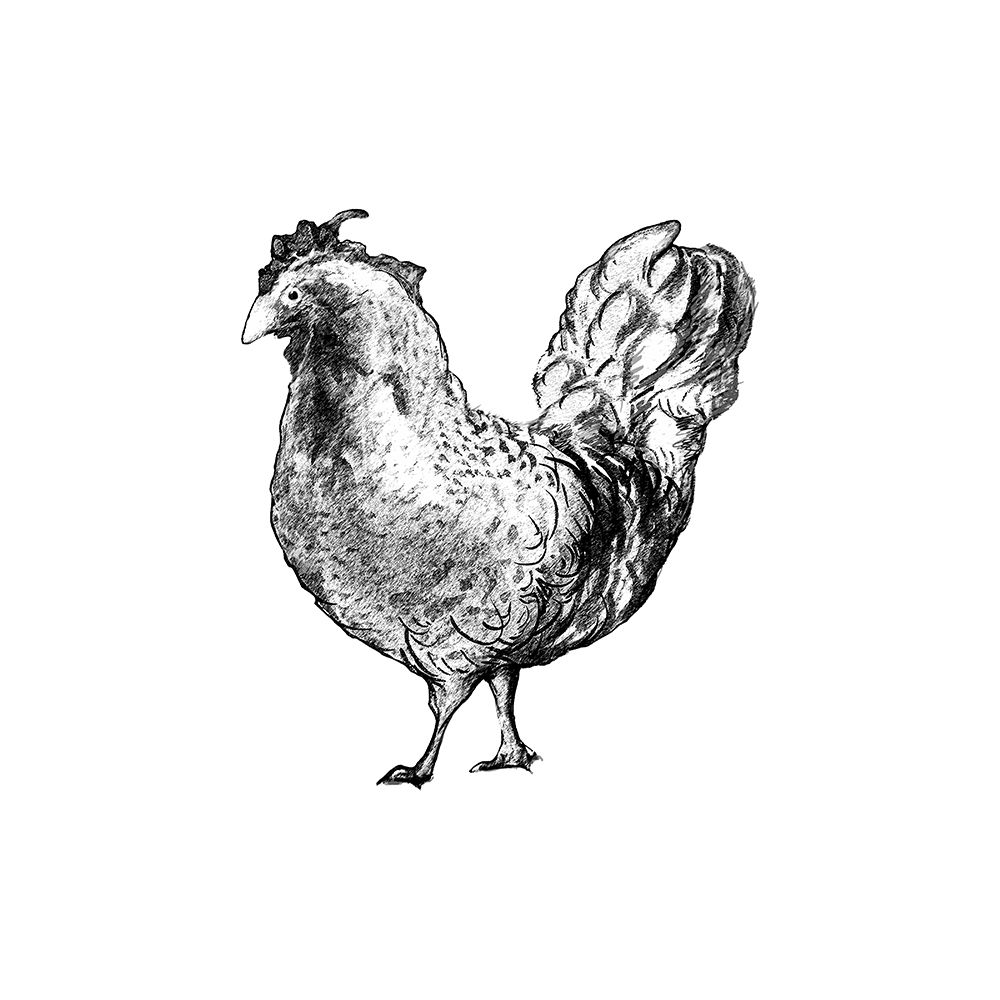 Art Print: Barnyard Coop I