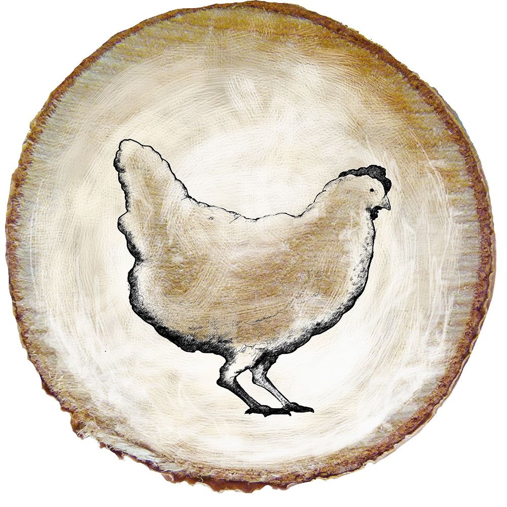 Art Print: Barnyard Coop Circle IV