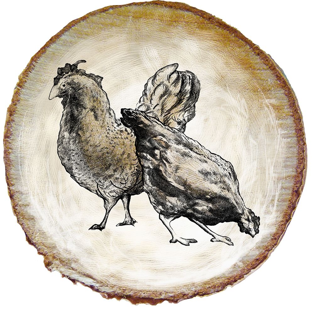 Art Print: Barnyard Coop Circle V