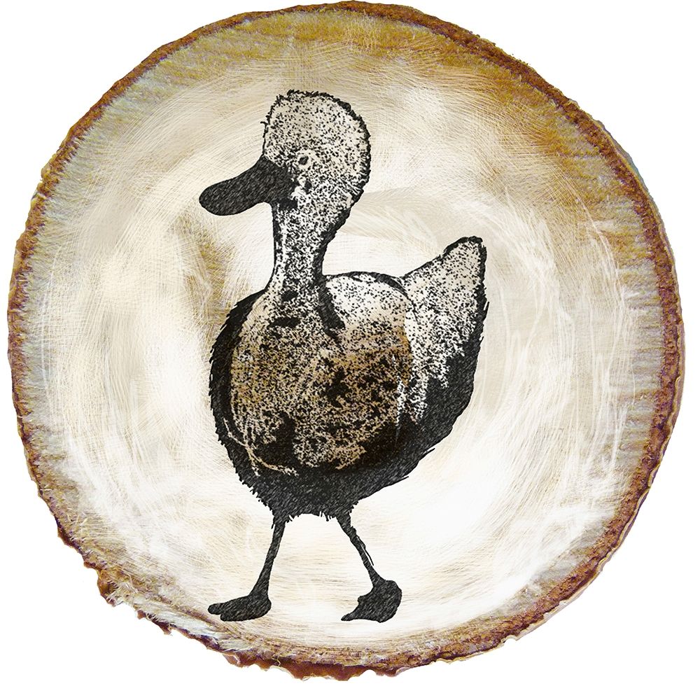 Art Print: Barnyard Coop Circle VI