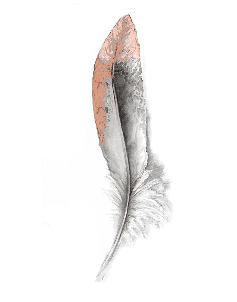 Wall art: Soft Feather I, by Diannart