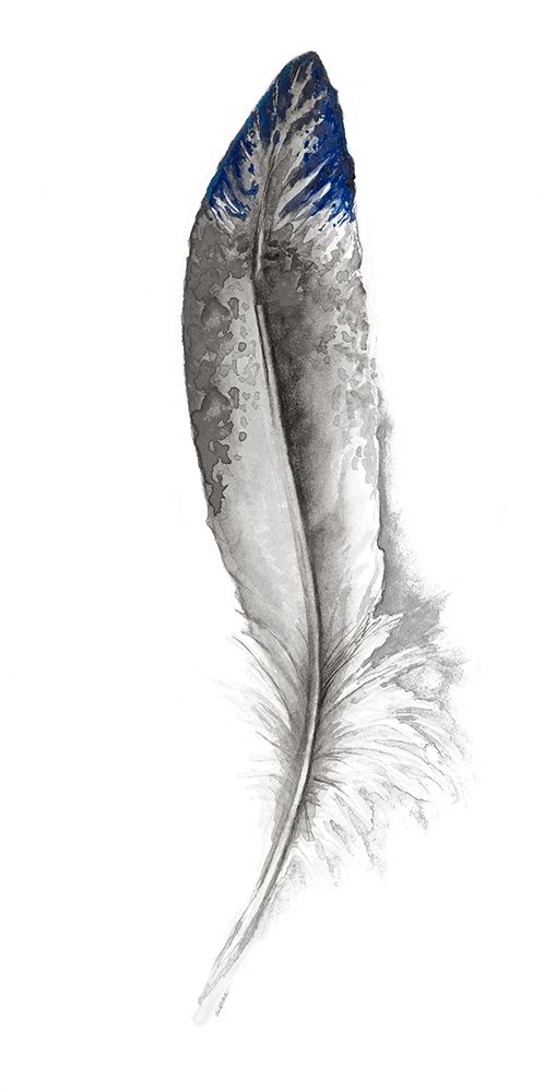 Wall art: Royal Blue Tip Feather I, by Diannart