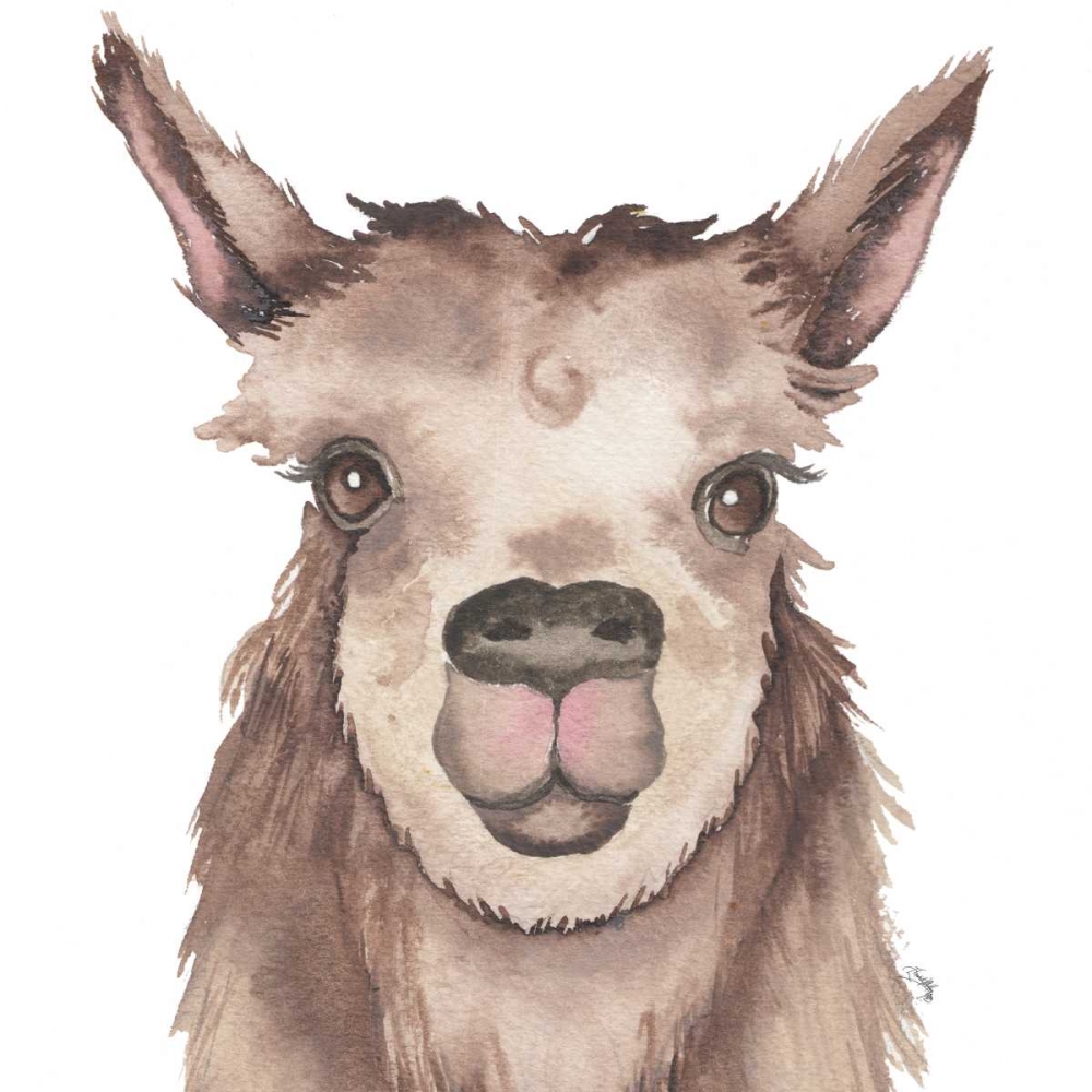 Wall Art Painting id:174881, Name: Llama, Artist: Medley, Elizabeth