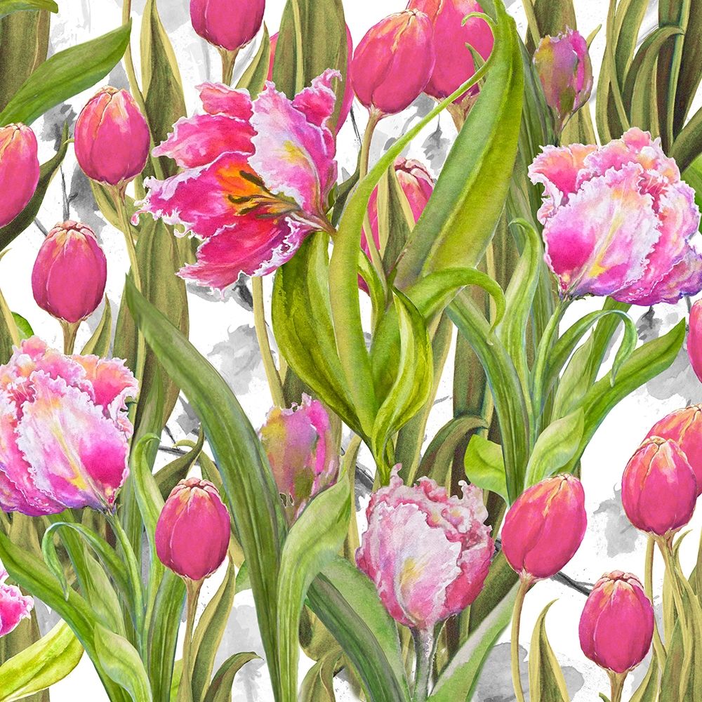 Art Print: Tulip Symphony I