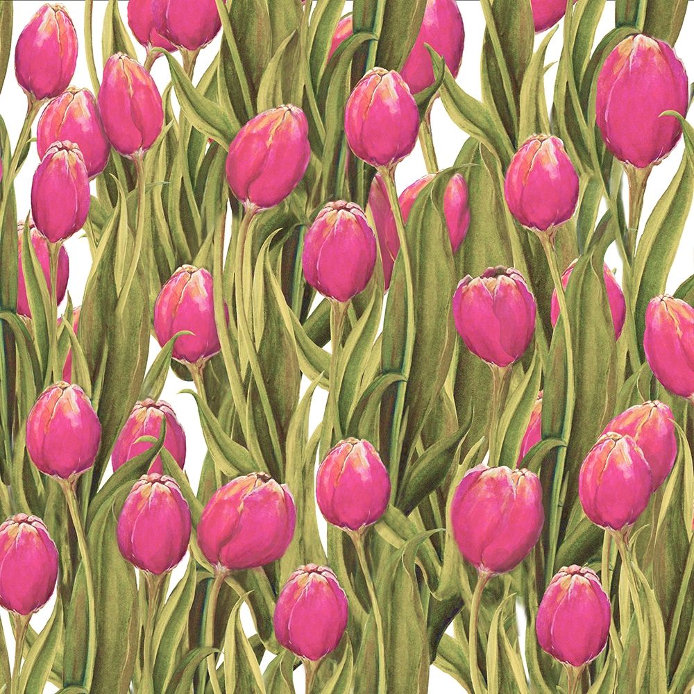 Art Print: Tulip Symphony II