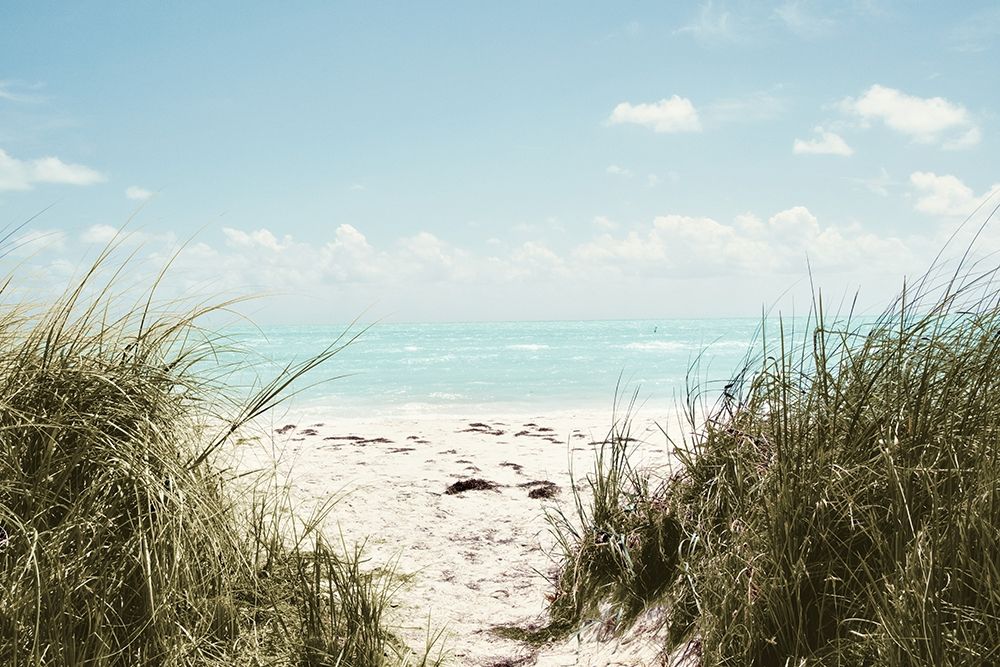 Art Print: Sunny Days