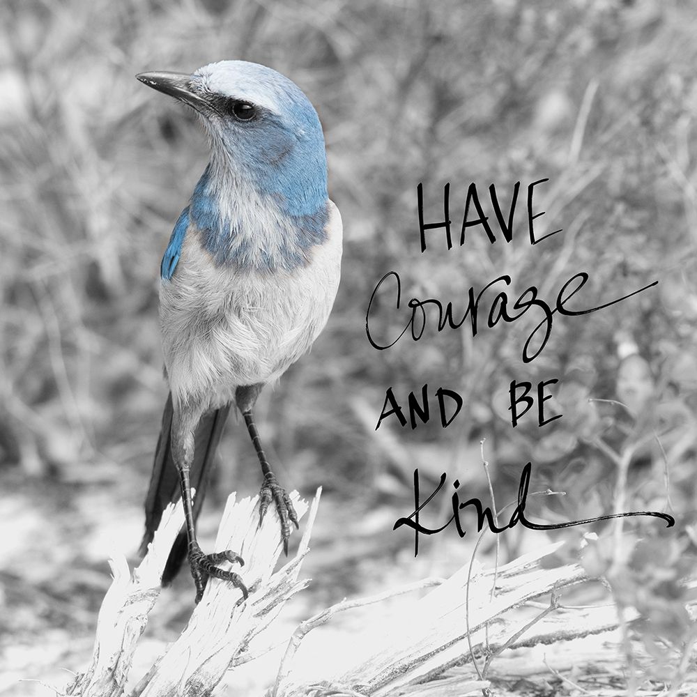 Art Print: Have Courage