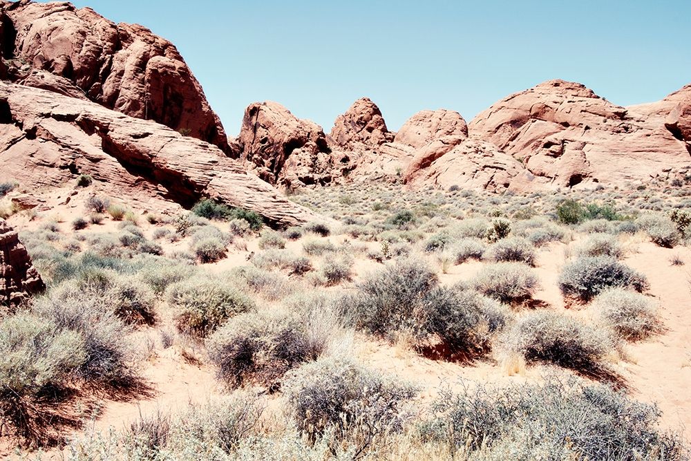 Art Print: Western Views I