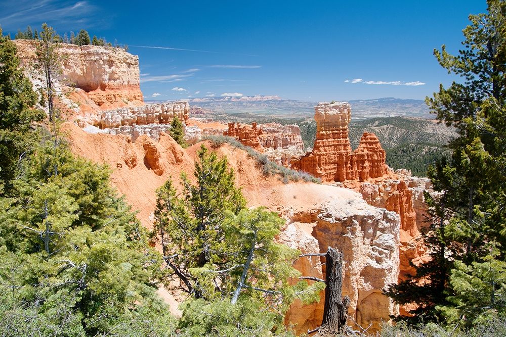 Art Print: Western Summers