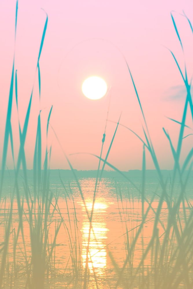 Art Print: Fresh Sunset Views