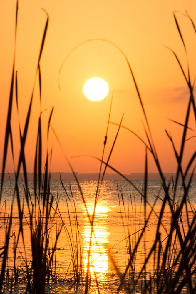 Art Print: Sunset on the Lake I