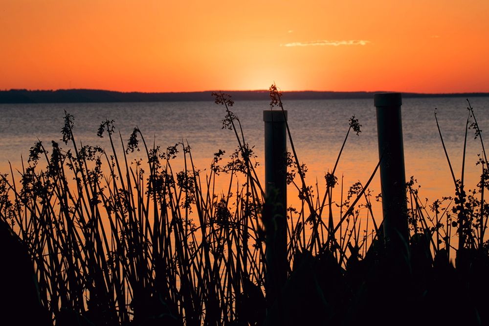 Art Print: Sundown Coast