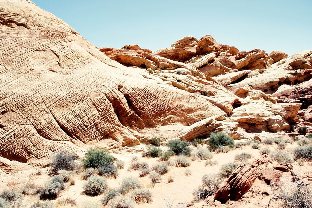 Art Print: Western Views II