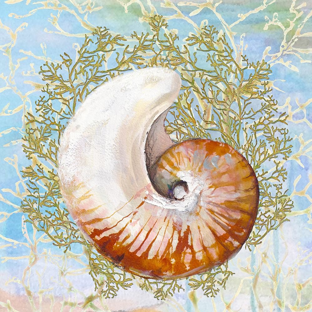 Art Print: Shell Medley III