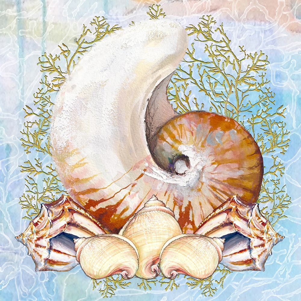Art Print: Shell Medley V
