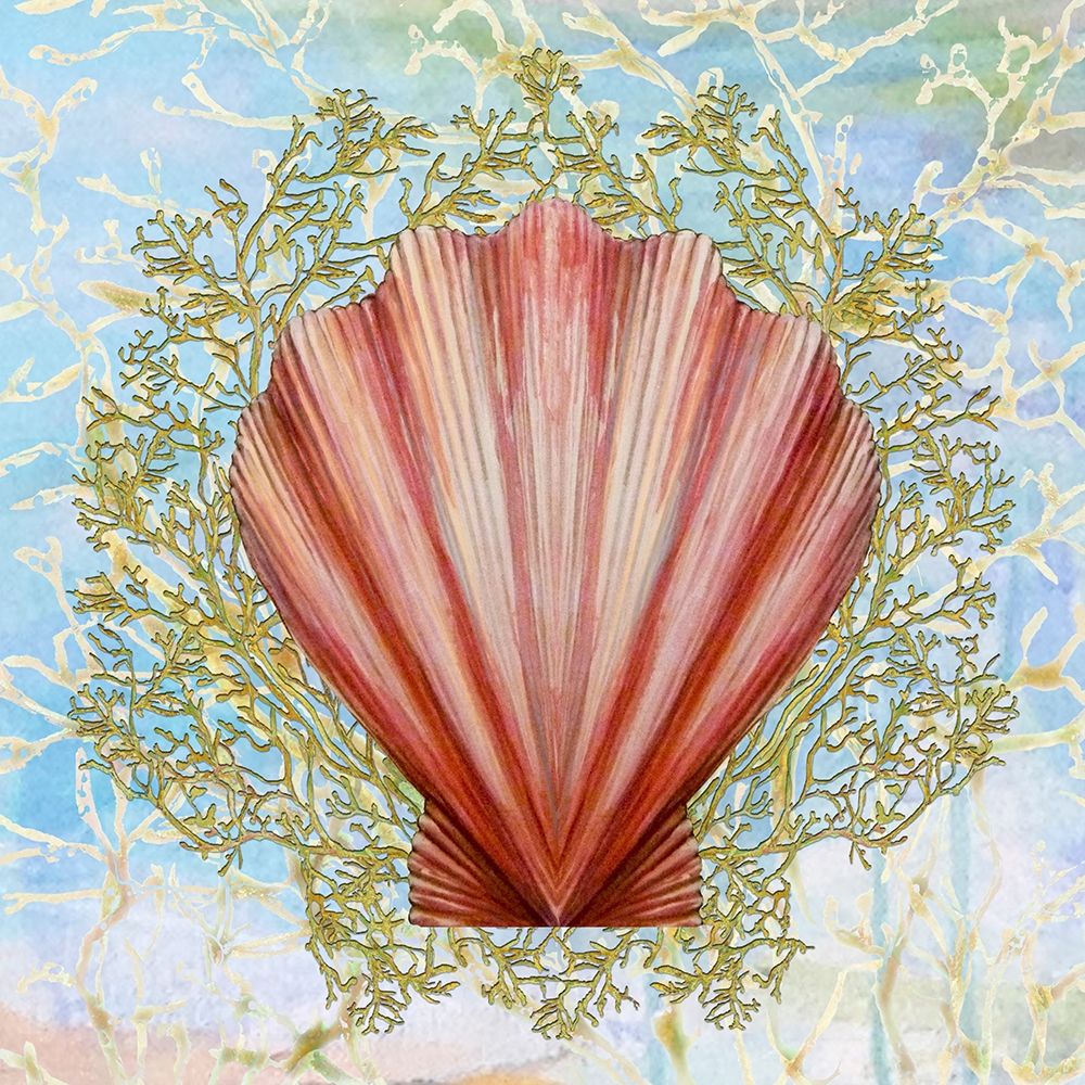 Art Print: Shell Medley I