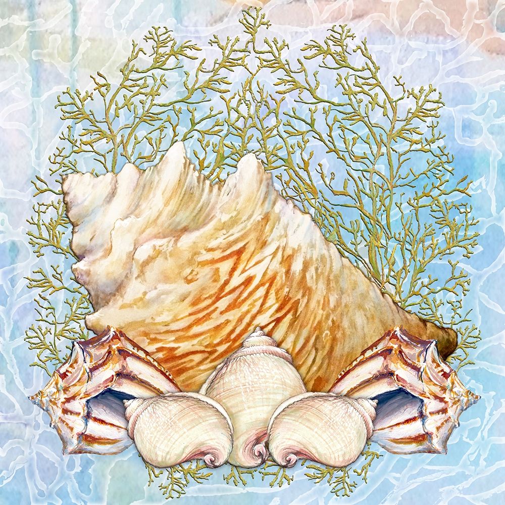 Art Print: Shell Medley VI