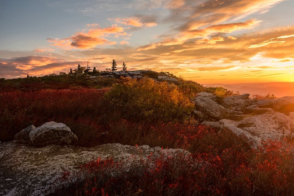 Art Print: Sunrise in Fall II