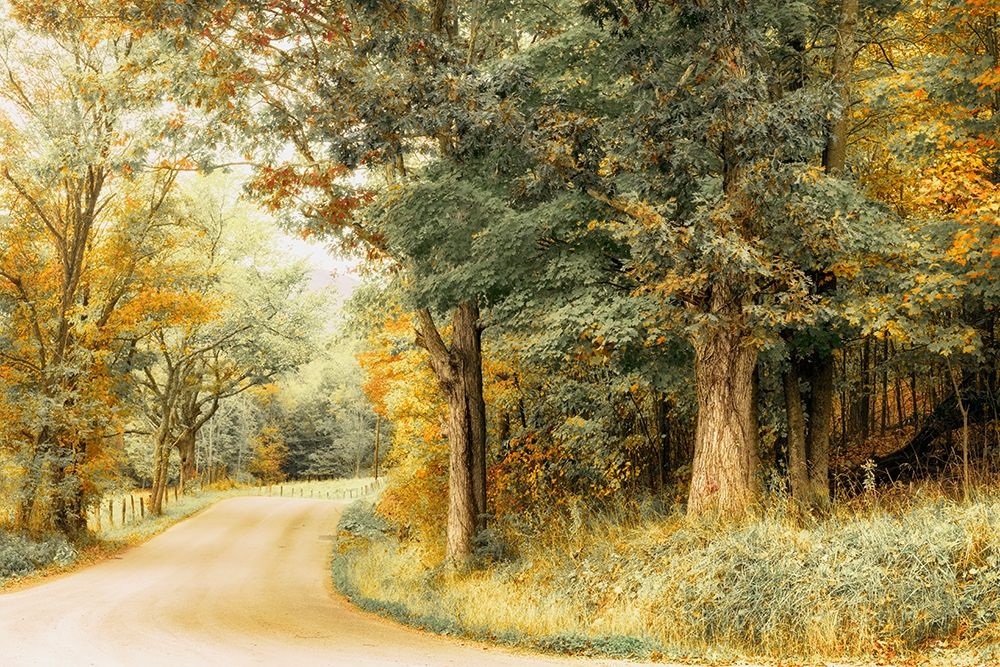 Art Print: Crisp Season