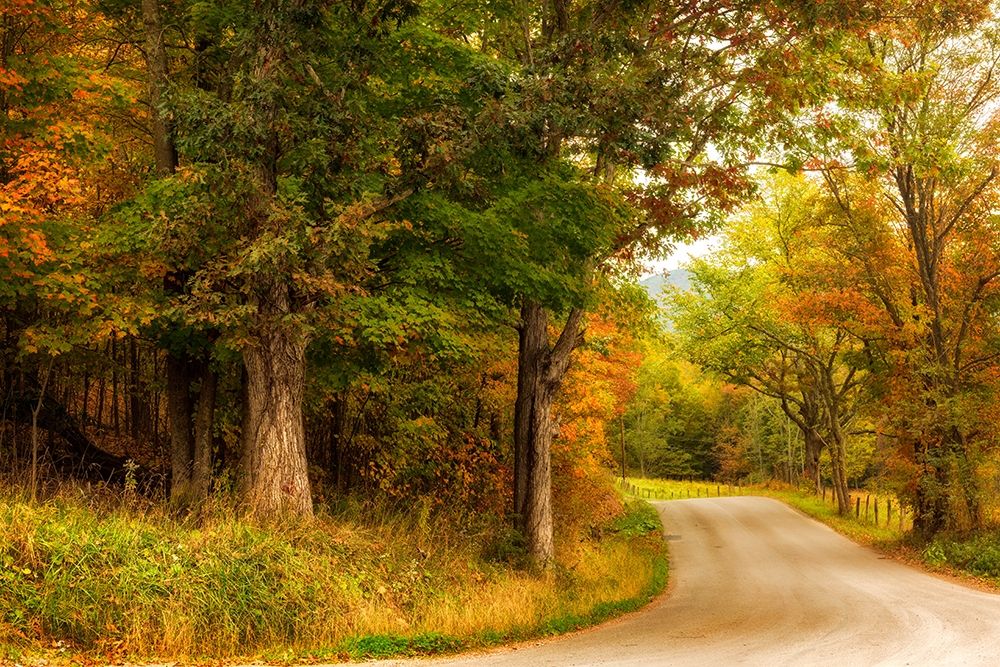 Art Print: Autumns First Day