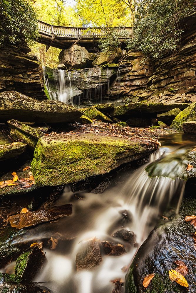 Art Print: Under the Bridge I