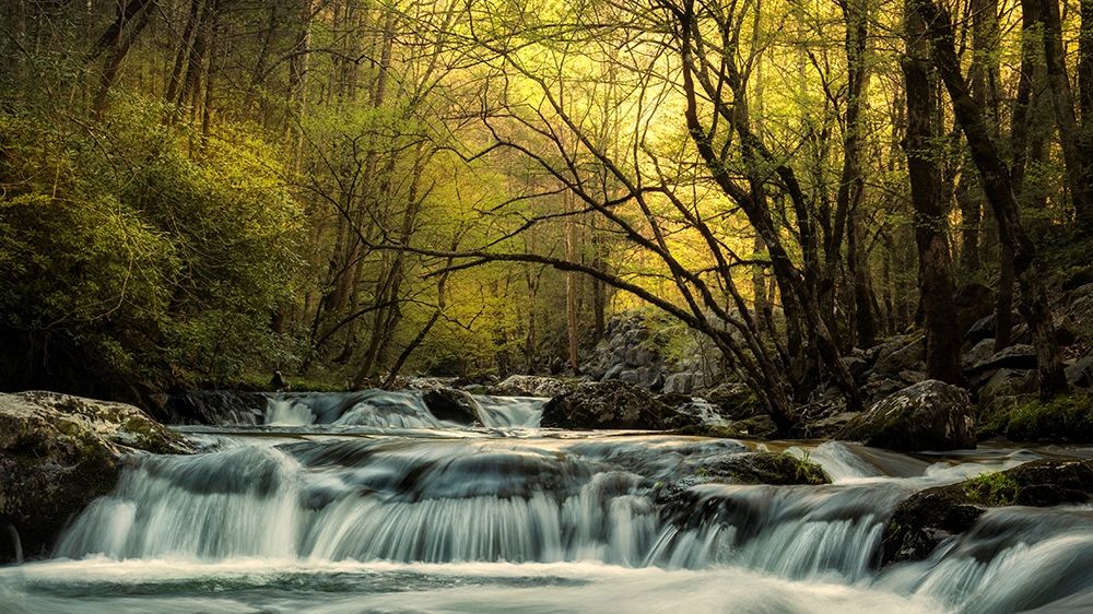 Art Print: Tremont at Sunrise