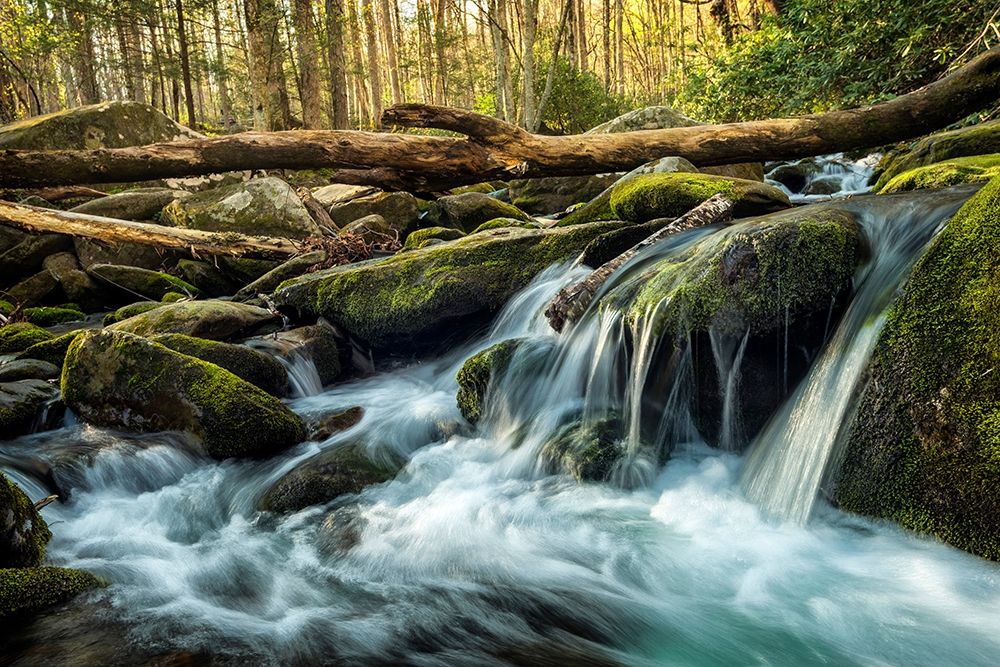 Art Print: Sticks and Stones