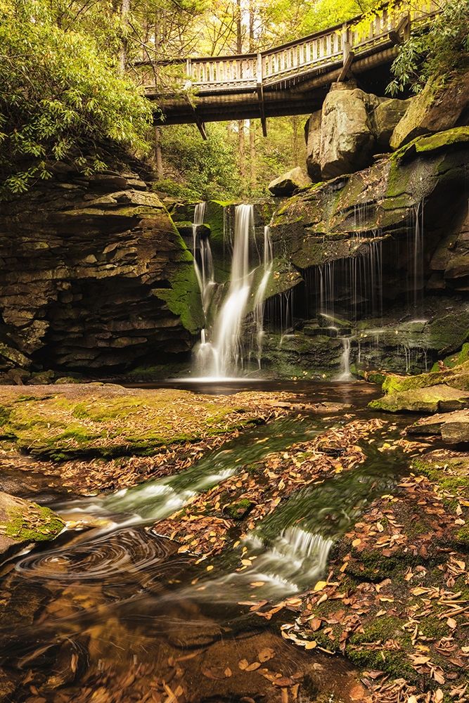 Art Print: Under the Bridge II