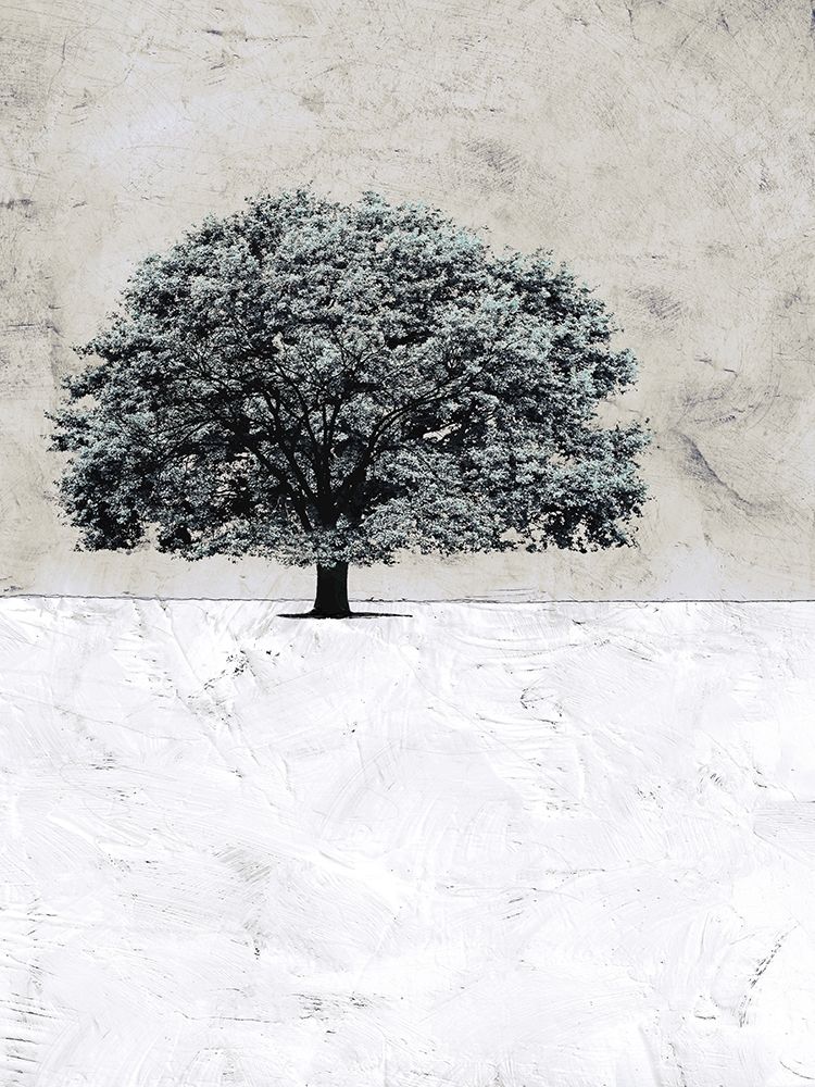 Art Print: Old Black Tree