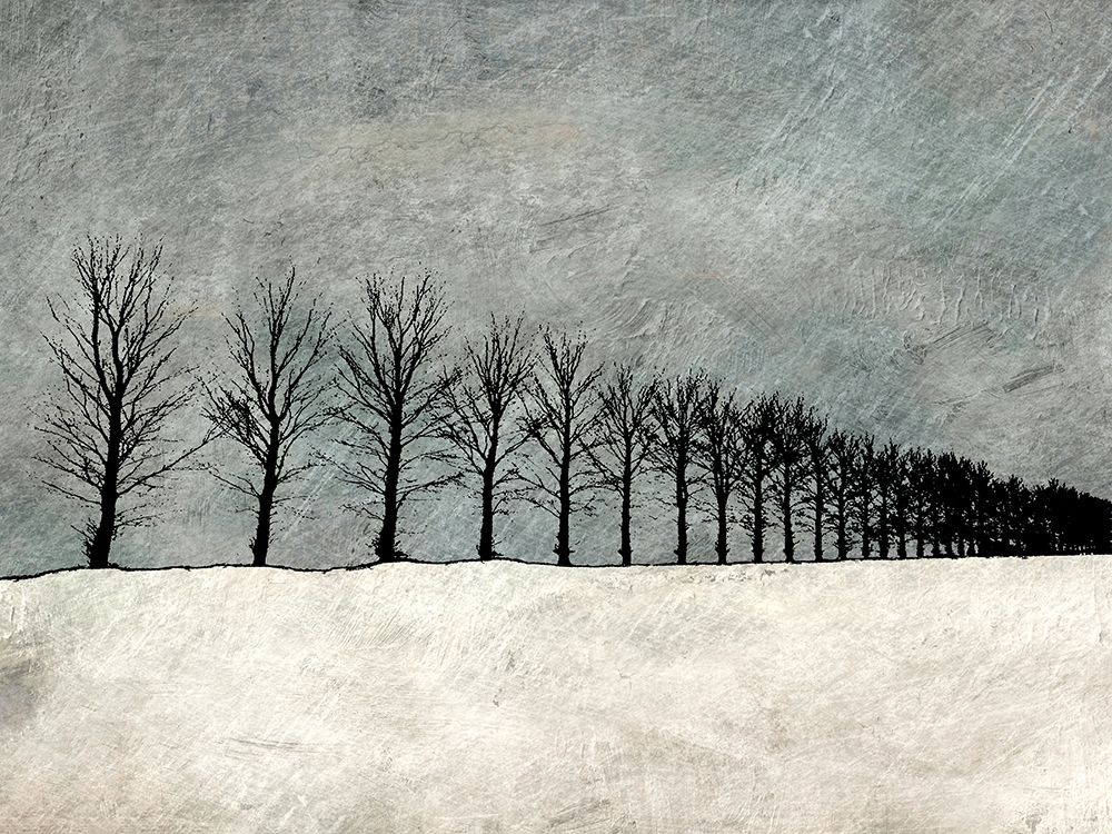Art Print: Winter Row