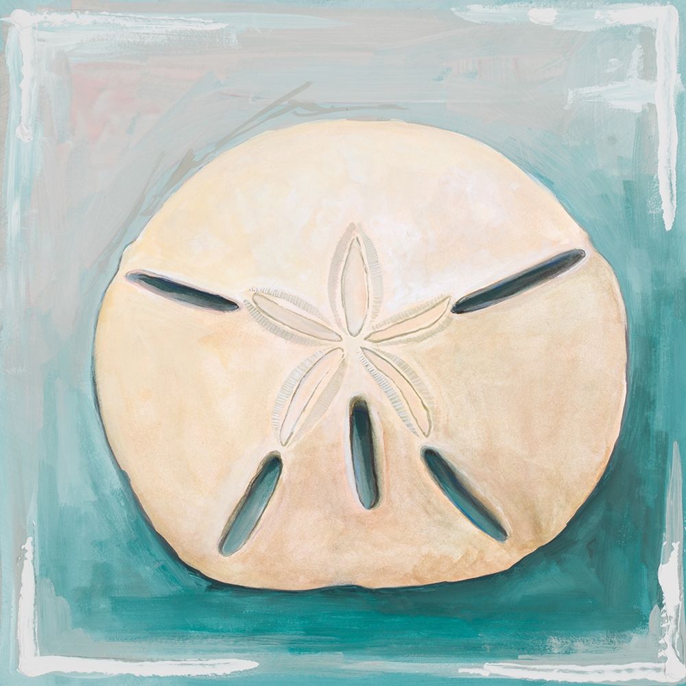 Art Print: Sand Dollar on Teal