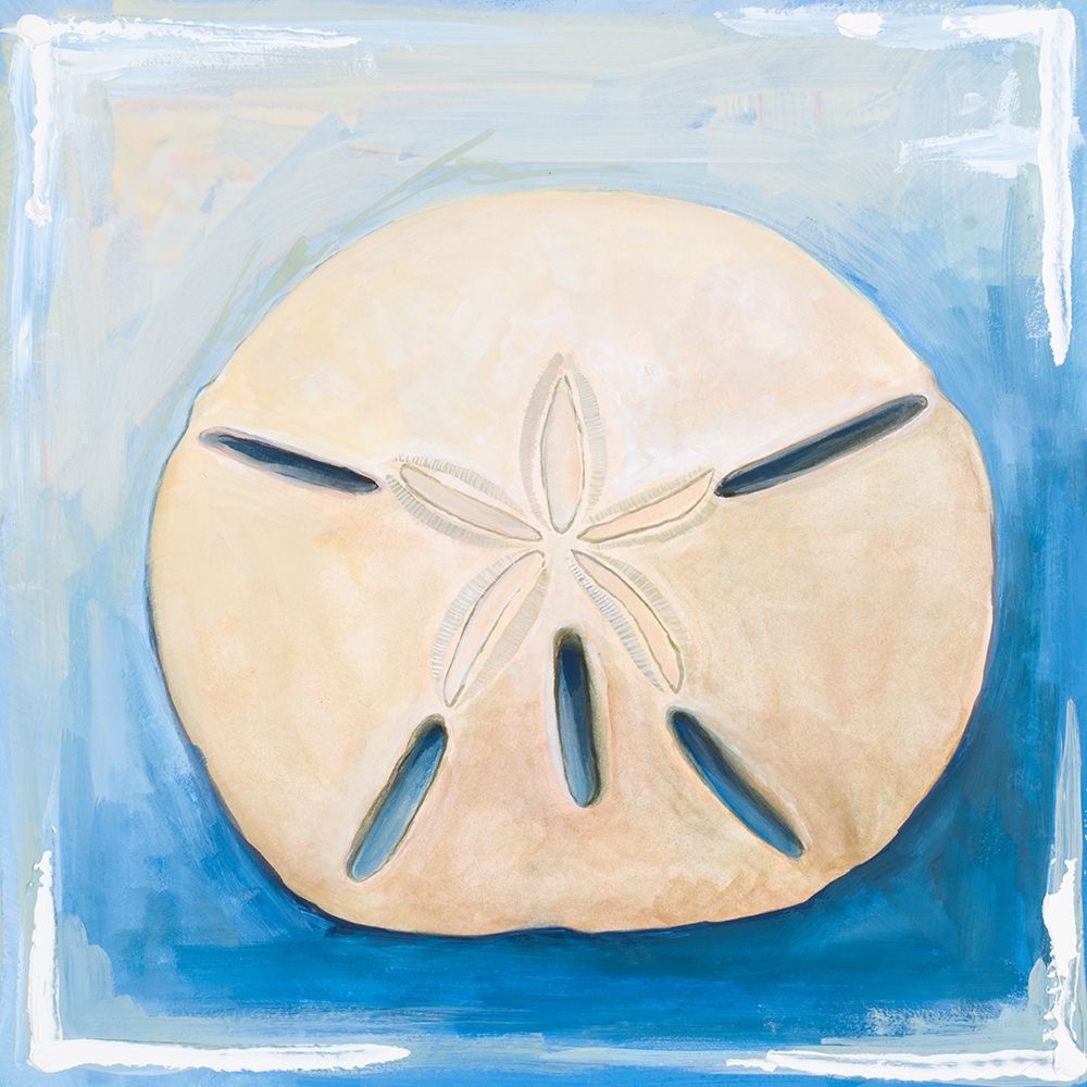 Art Print: Sand Dollar on Blue