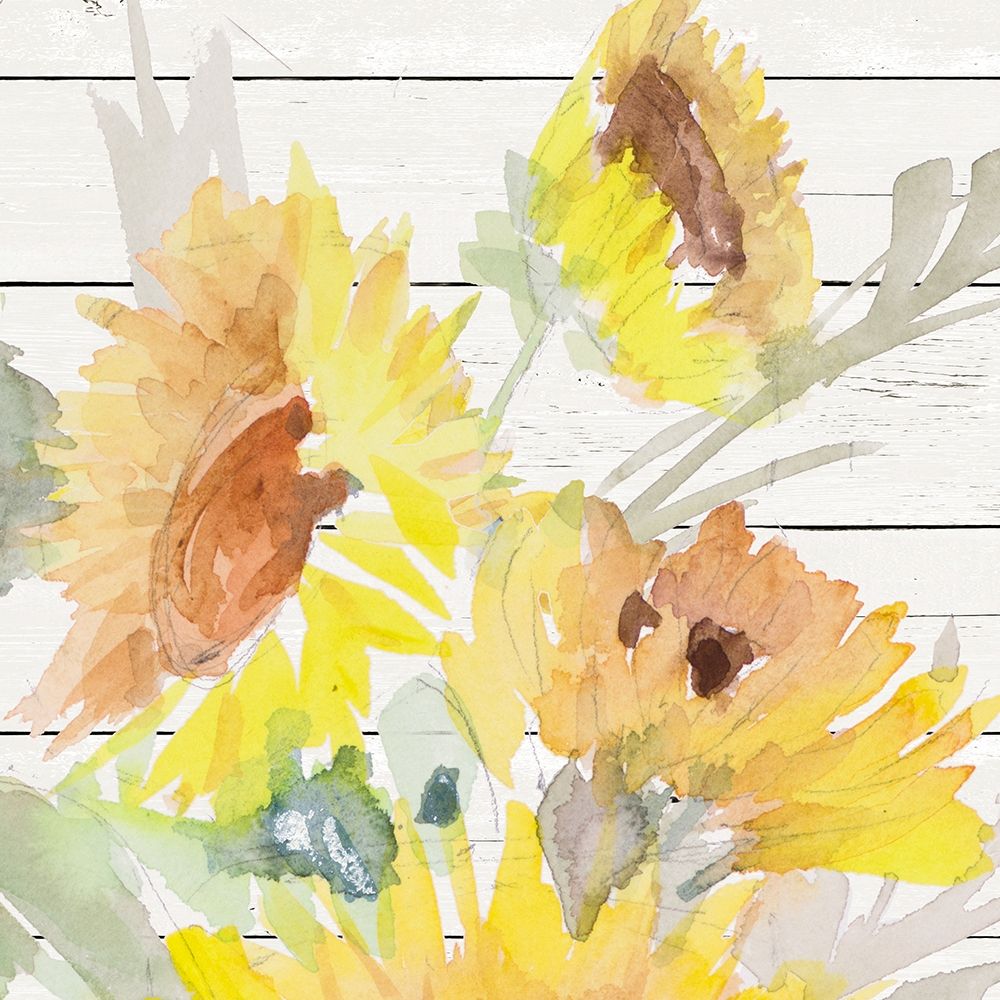 Wall art: Blooming Sunflower Square III, by Loreth, Lanie