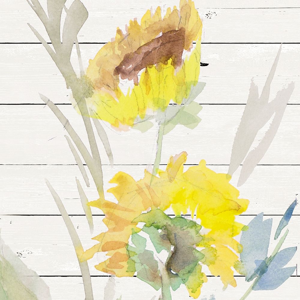 Wall Art Painting id:309733, Name: Blooming Sunflower Square I, Artist: Loreth, Lanie