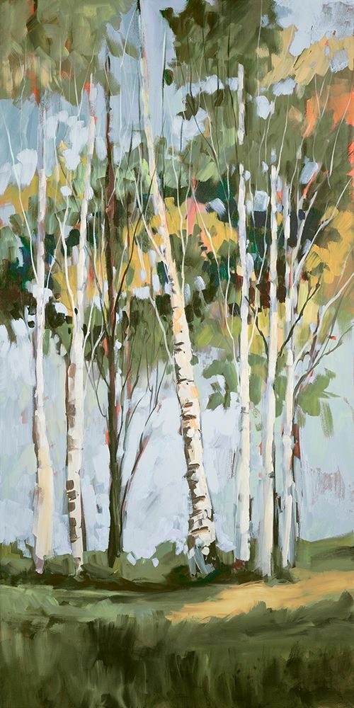 Art Print: Golden Birch Trees II