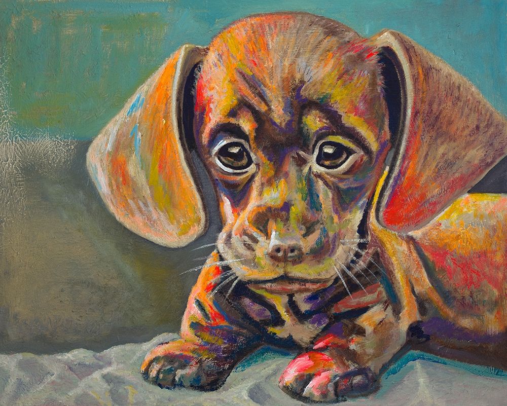 Wall Art Painting id:310235, Name: Puppy Face, Artist: Beauchamp, Andy