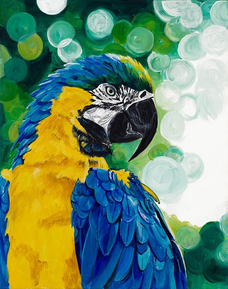 Wall Art Painting id:338362, Name: Brilliant Parrot, Artist: Goodrich, Chelsea