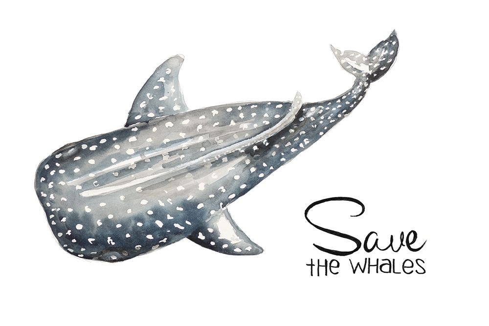 Wall art: Save The Whales, by Pinto, Patricia