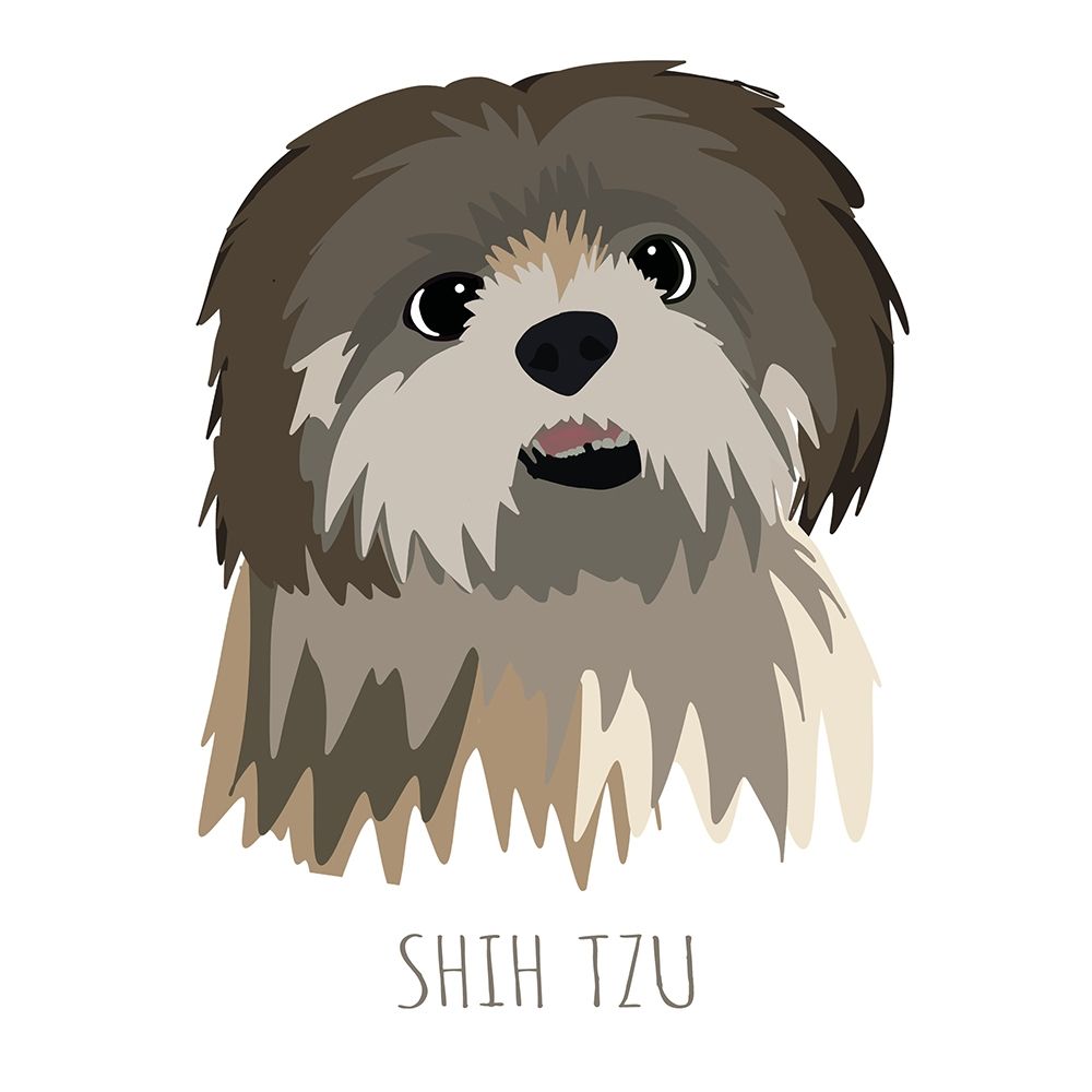 Art Print: Shih Tzu