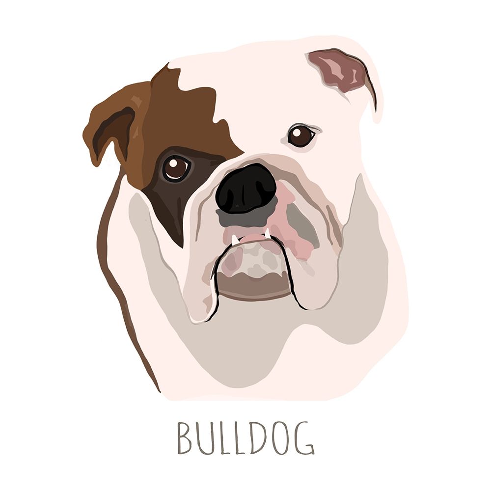 Art Print: Bull Dog