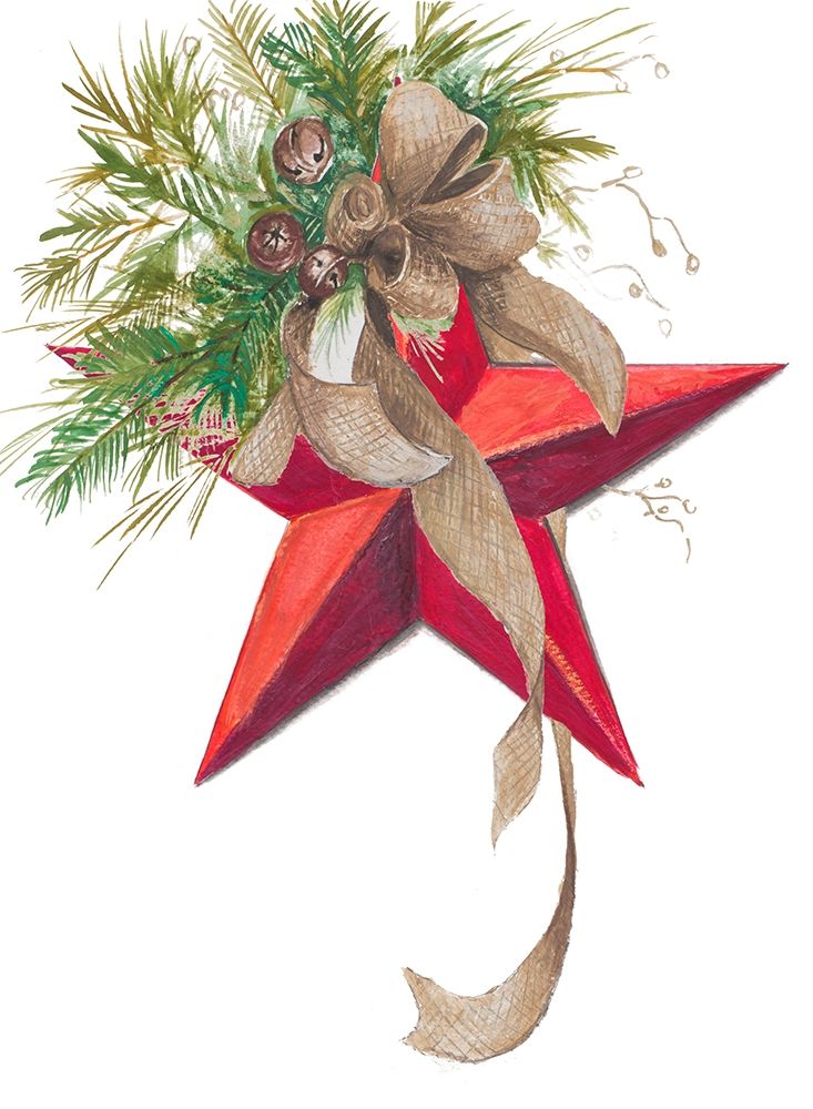 Wall Art Painting id:382176, Name: Christmas Star, Artist: Pinto, Patricia