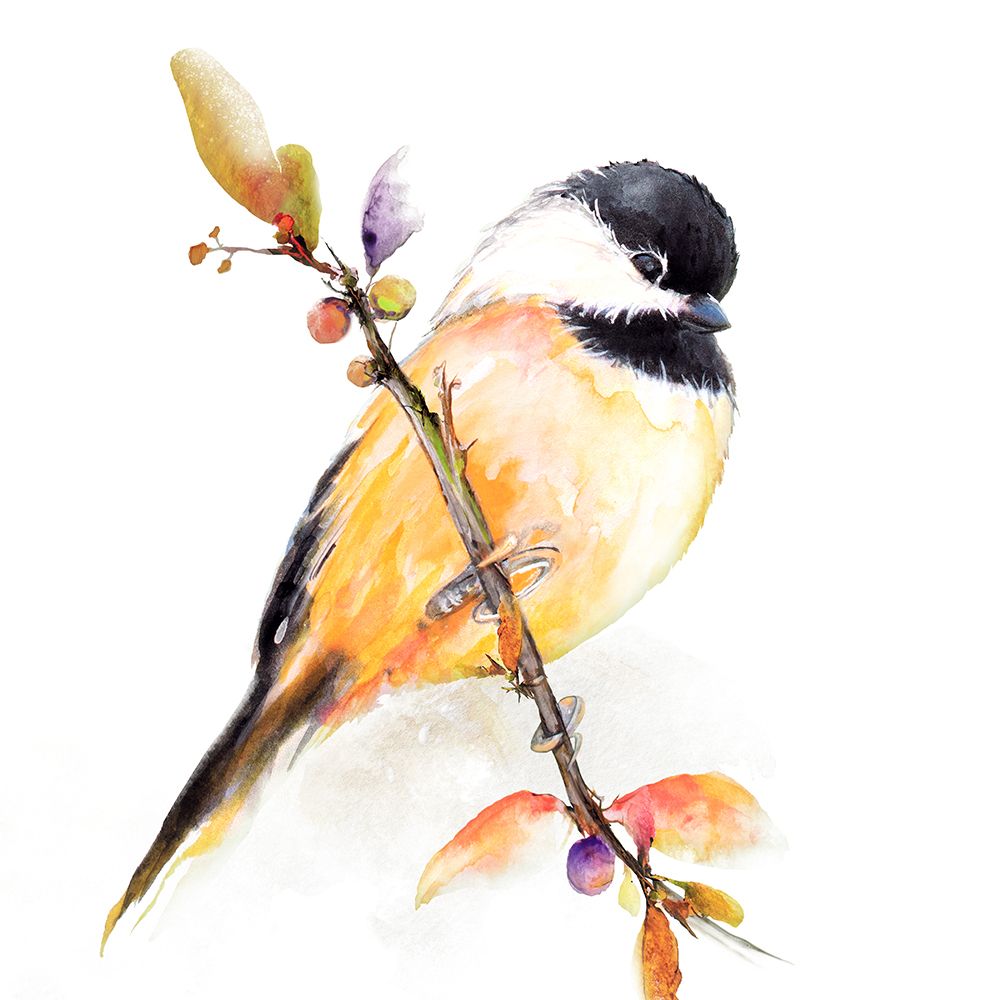 Art Print: Watercolor Chickadee I