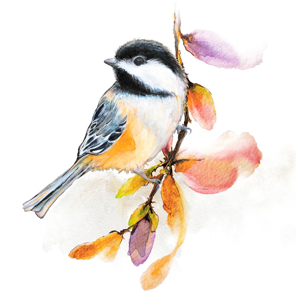 Art Print: Watercolor Chickadee II
