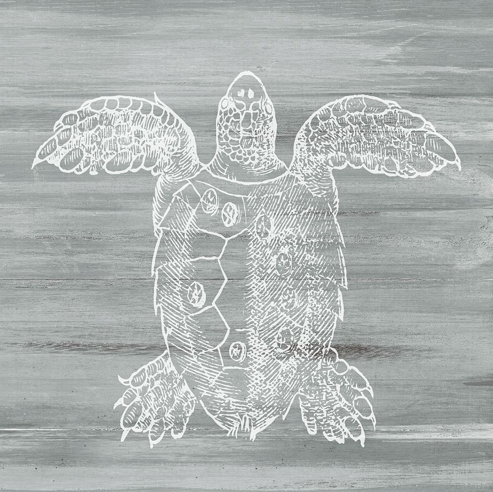 Wall Art Painting id:638937, Name: White Turtle on Gray, Artist: Meneely, Dan