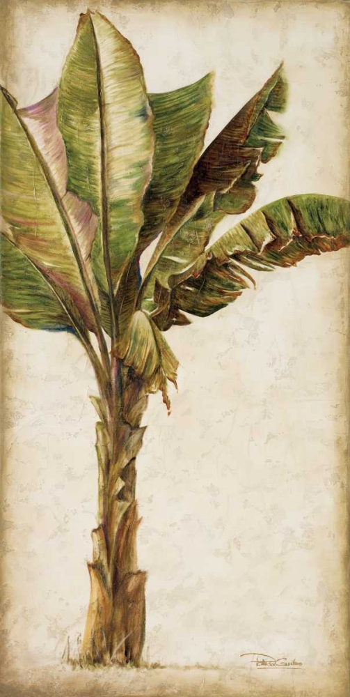 Wall Art Painting id:15114, Name: Tropic Banana I, Artist: Pinto, Patricia
