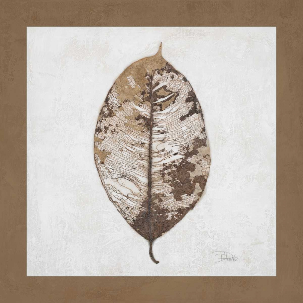 Wall art: Beauty of Simplicity I, by Pinto, Patricia