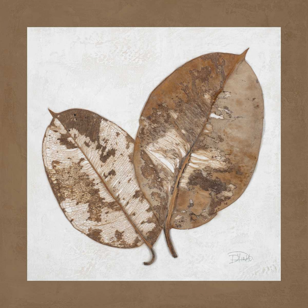 Art Print: Beauty of Simplicity II