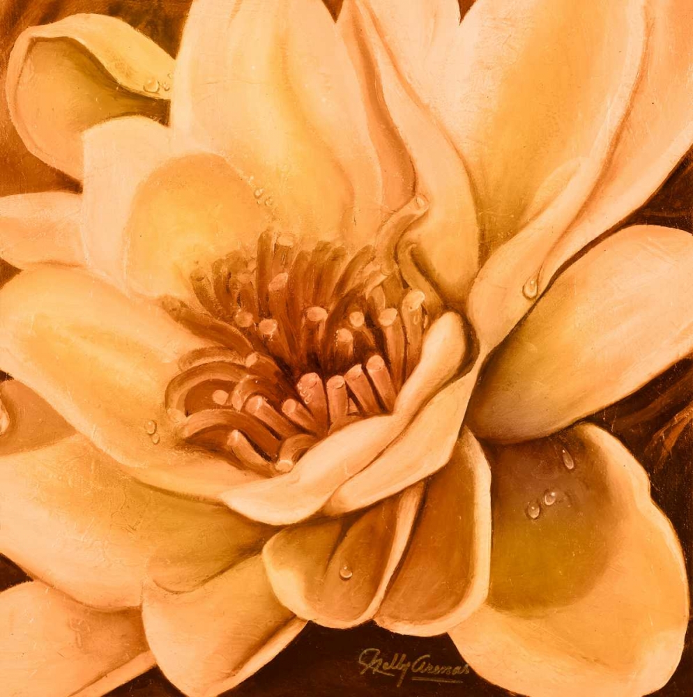 Art Print: Flor de Loto I