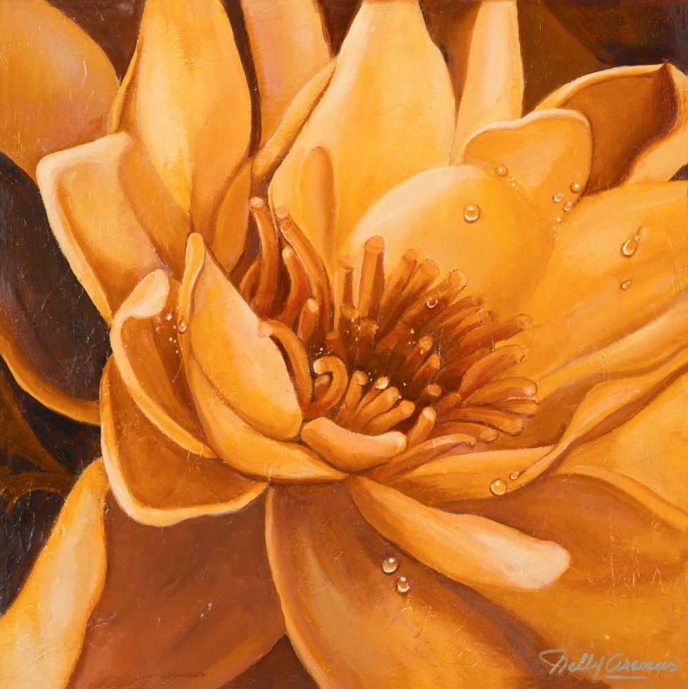 Art Print: Flor de Loto II